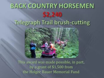 2017 Funded Projects