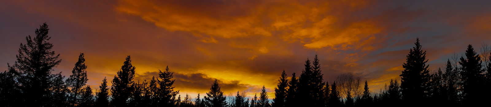 Policies - About - Quesnel Community Foundation